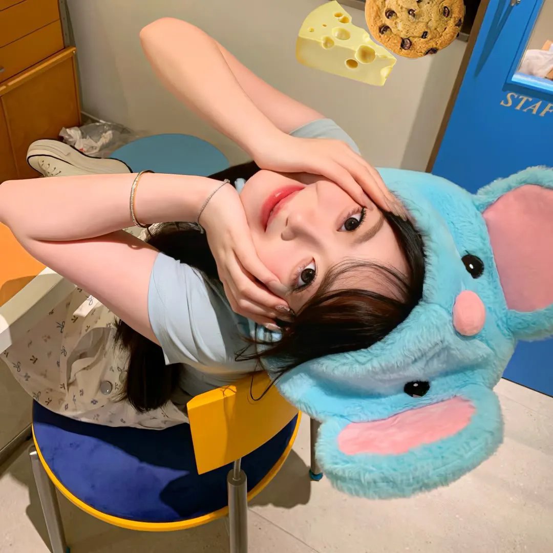 魅力航班