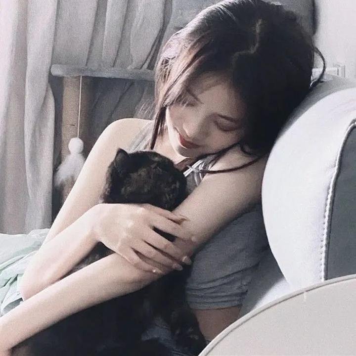 长毛狗